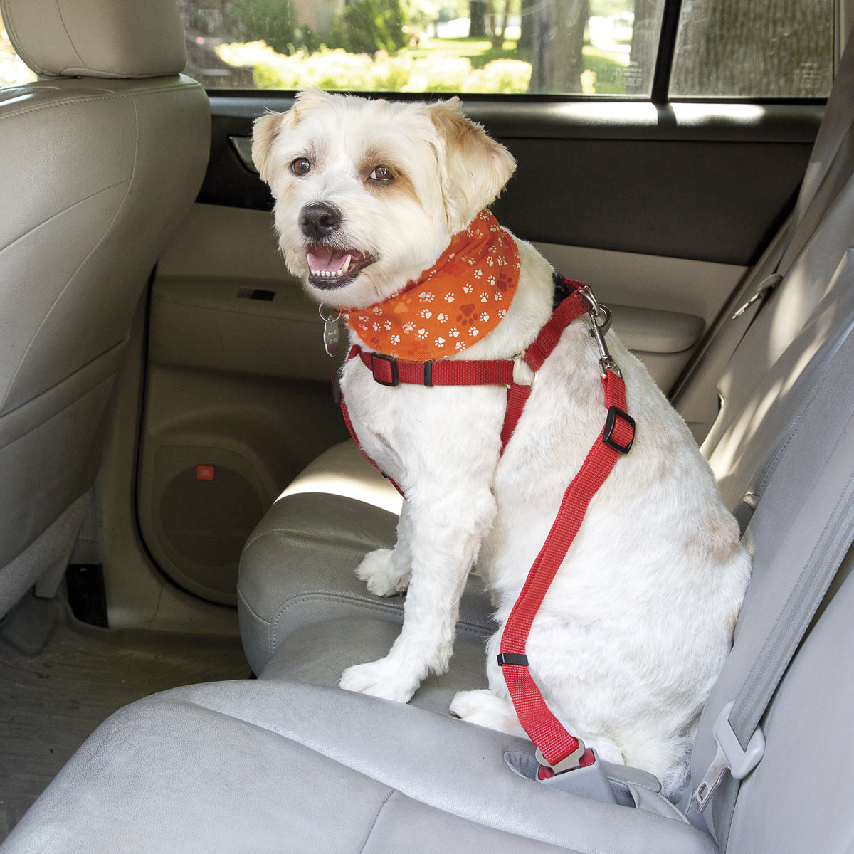 Pet Seat Belt - Jack & Dixie Clic and Go Universal