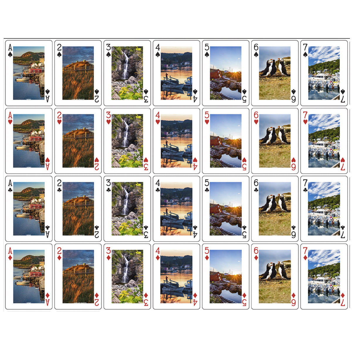 Newfoundland & Labrador Playing Cards | Souvenir Deck