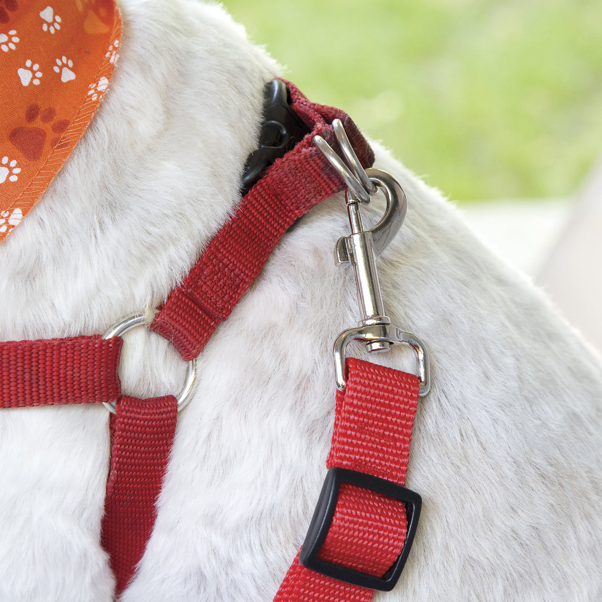 Pet Seat Belt - Jack & Dixie Clic and Go Universal - 5580