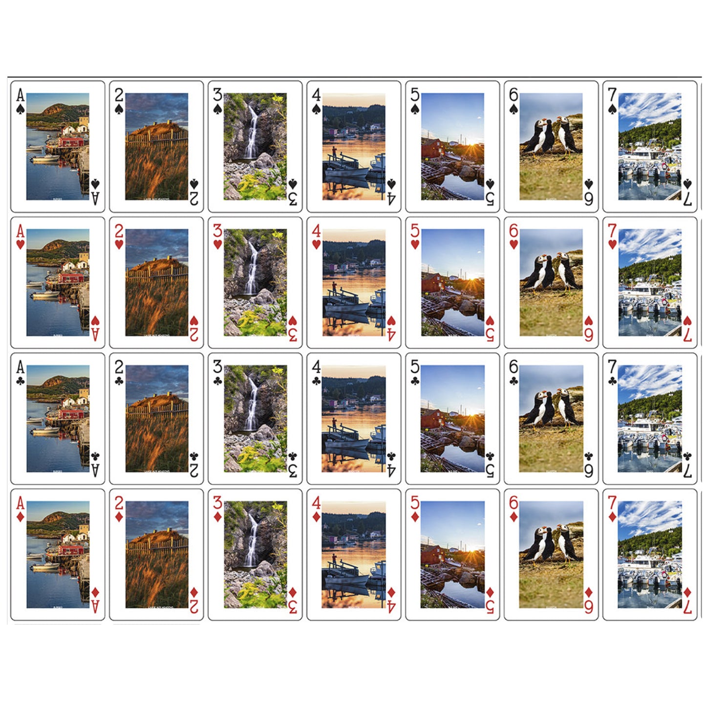Newfoundland & Labrador Playing Cards | Souvenir Deck
