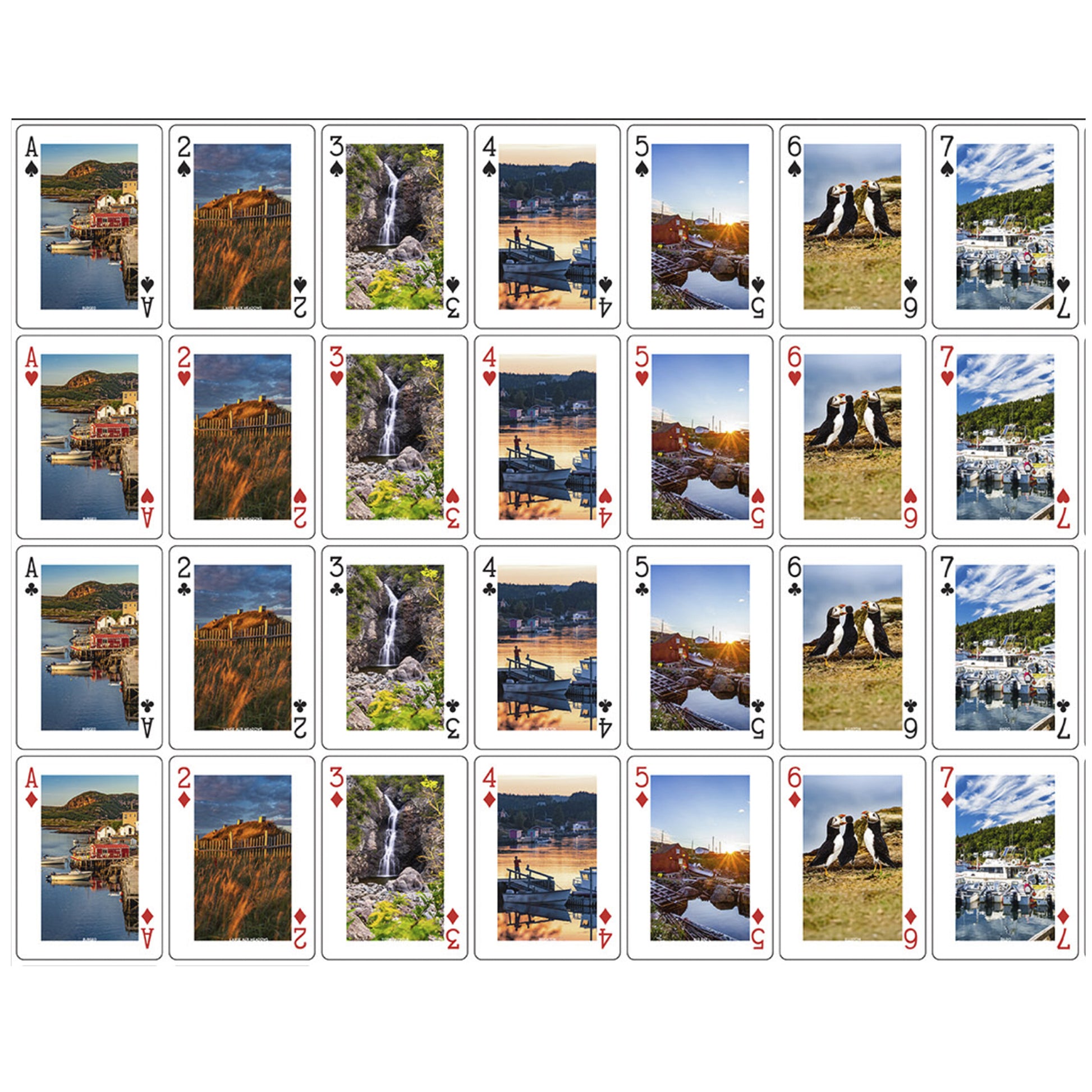Newfoundland & Labrador Playing Cards | Souvenir Deck