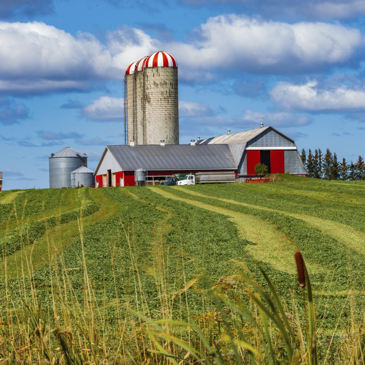 2027 Canadian Farms Large Wall Calendar featuring Canadian agricultural and farm photography by John Morris