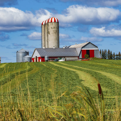2027 Canadian Farms Large Wall Calendar featuring Canadian agricultural and farm photography by John Morris