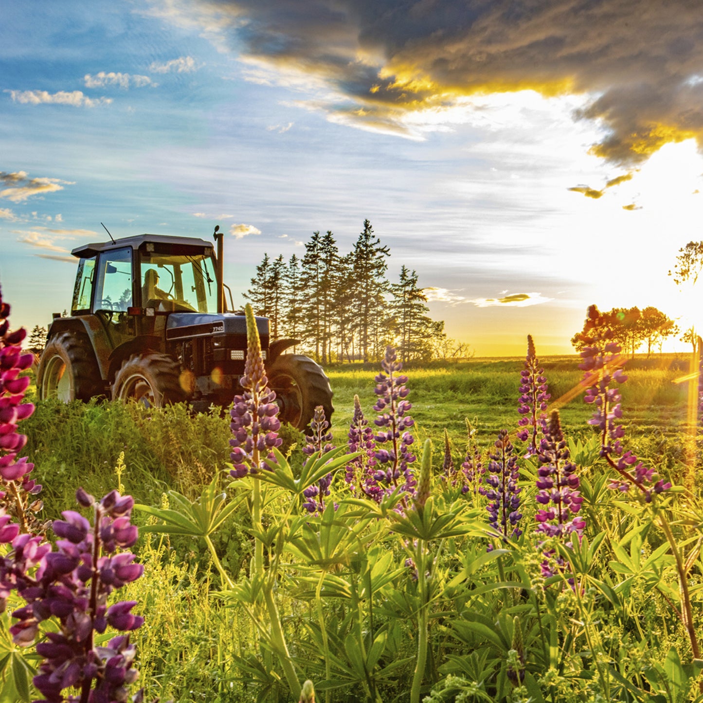 2027 Canadian Farms Large Wall Calendar featuring Canadian agricultural and farm photography by John Morris