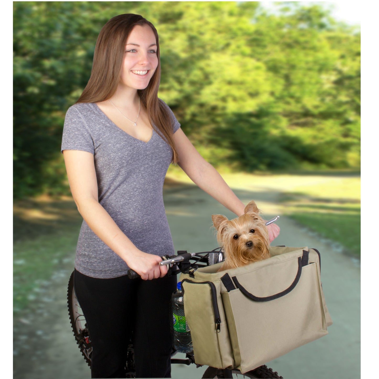 Pet Bicycle Basket and Carrier