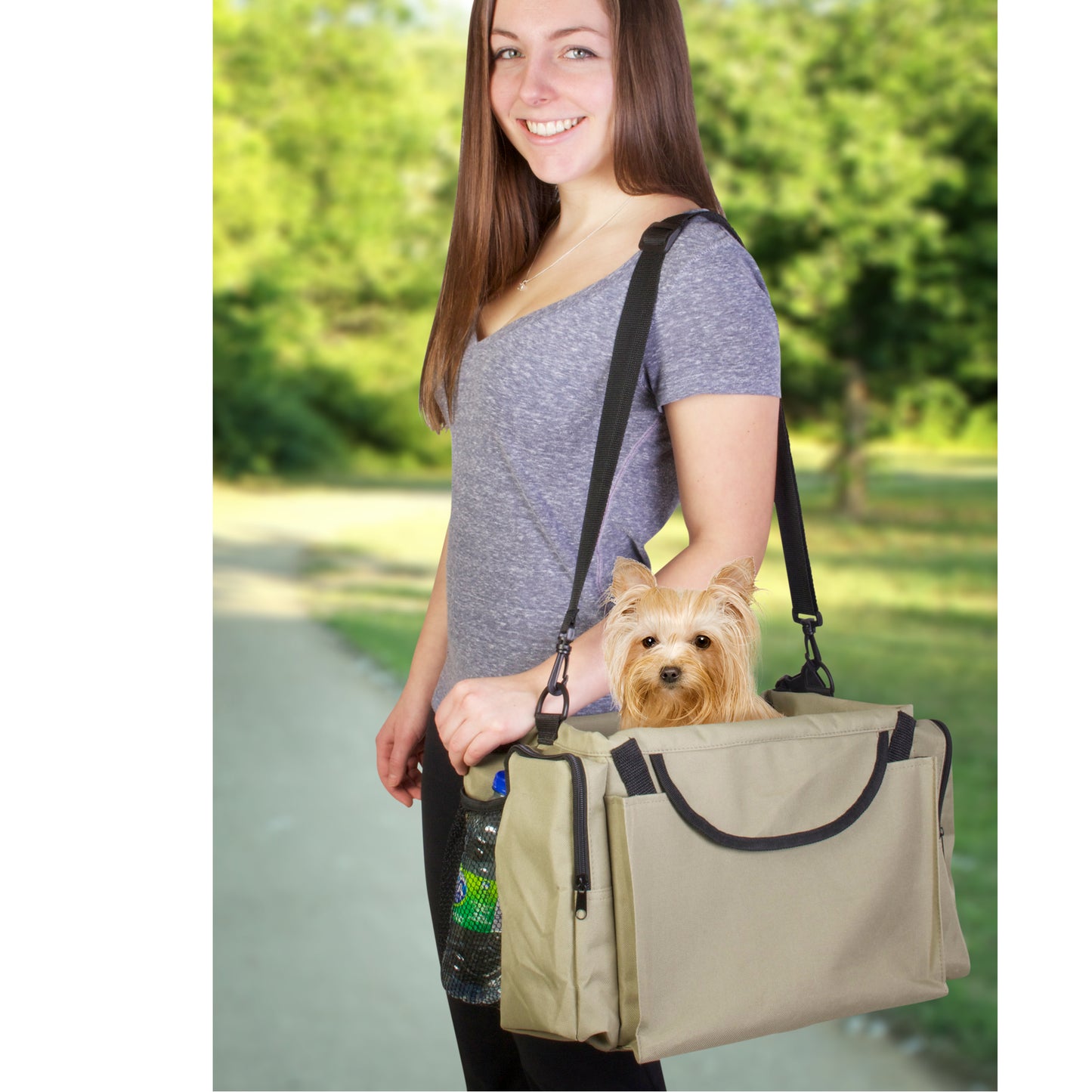 Pet Bicycle Basket and Carrier