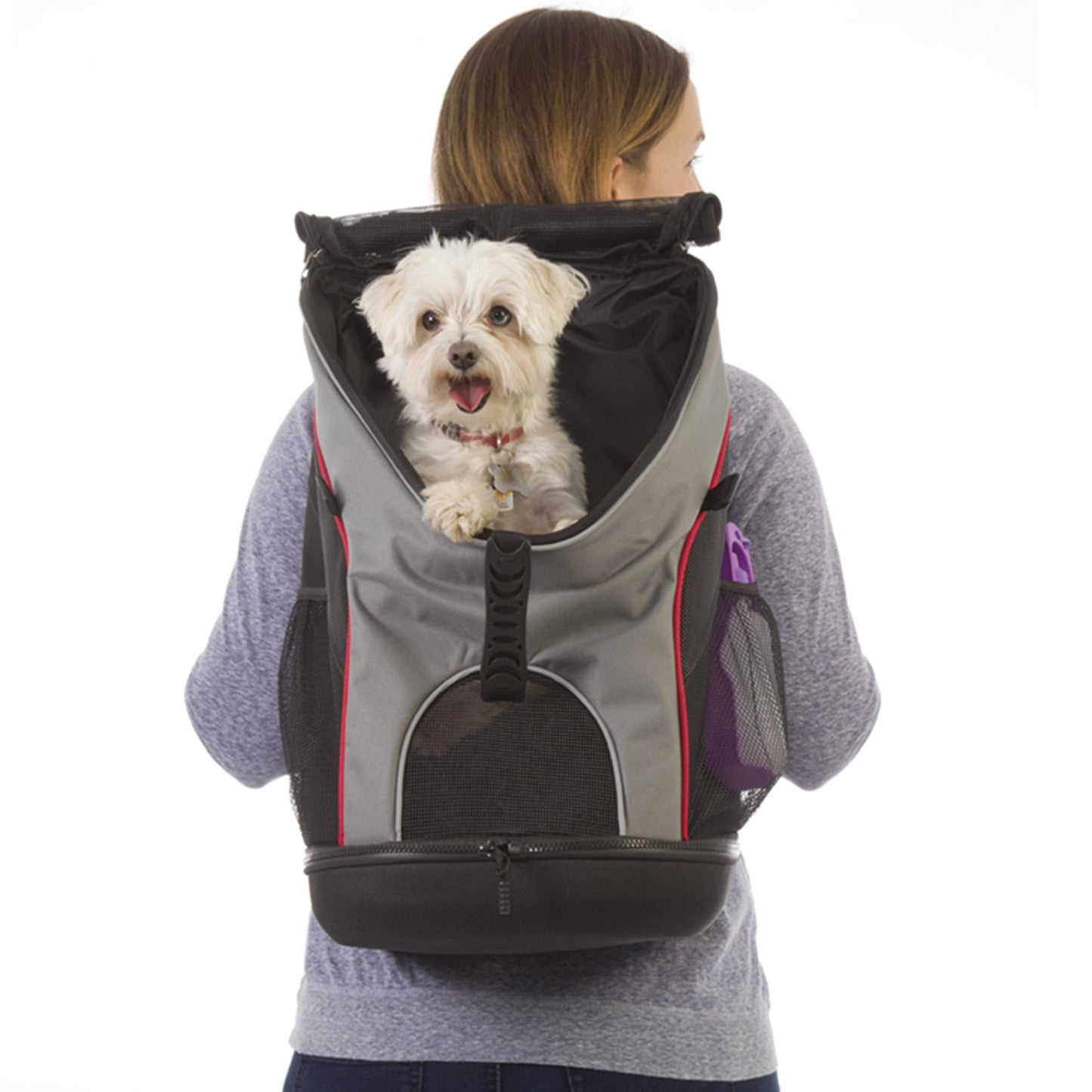 Jack and Dixie - Backpack Pet Carrier